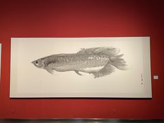-江苏省美术馆(长江路新馆)