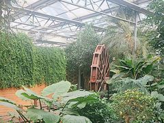 -金稼园·金平湖农家菜