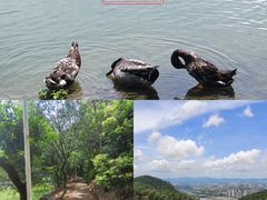 -大雁山风景区