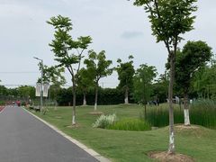 -上海长兴岛郊野公园