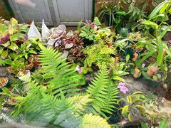 -国家植物园南园