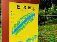-辽宁电视塔