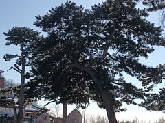 -妙峰山风景名胜区