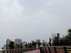 -府河摄影公园
