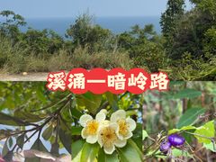 -玫瑰海岸文化旅游度假区