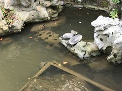 -普陀山风景名胜区-法雨禅寺