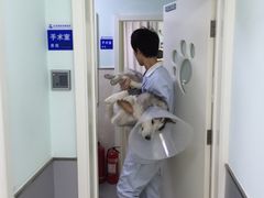 -酷宠动物医院(天通西苑店)