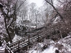 -陕西省红河谷森林公园