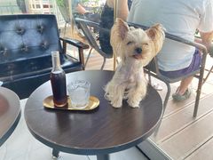 -游心咖啡(青山滨江店)