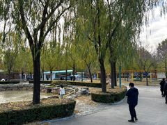 -朝阳公园游乐园