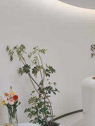 点击看大图 -美丽妈妈产后恢复中心(南桥旗舰店)