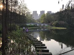 -重庆彩云湖湿地公园