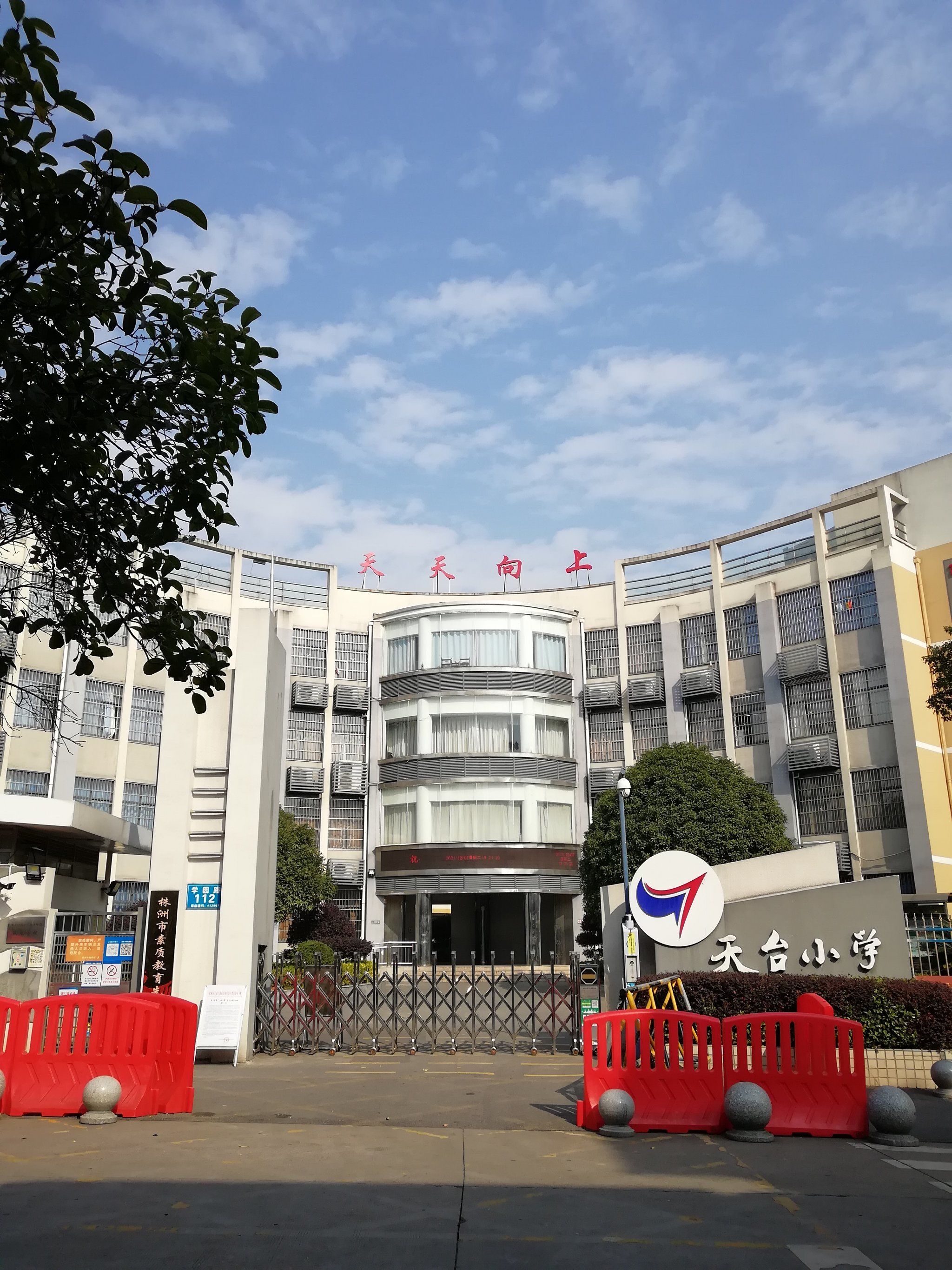 天台小学