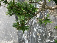 -上海吴淞炮台湾国家湿地公园