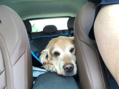 -佳百利宠物(荣乐中路115弄小区店)