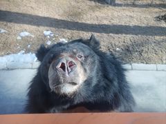 -北京野生动物园