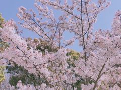 -上海山野camping·户外天幕烧烤·团建拓展营地