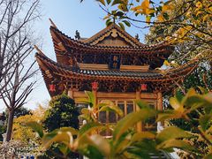 -上海东林寺(金山区)