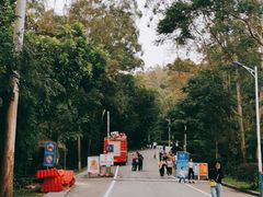 -火炉山森林公园