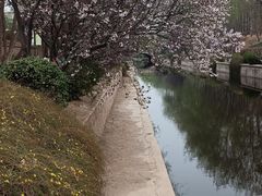 -元大都城垣遗址公园