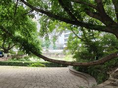 -成都市活水公园