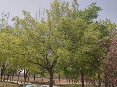-龙谕酒庄