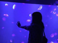 -暹罗海洋世界