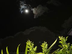 -老宅子私房菜馆(大理古城店)