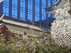 -团结湖公园