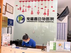 -宠福鑫动物医院(望京分院)