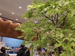 -君之狮子山·轻糖烘焙(松江印象城店)