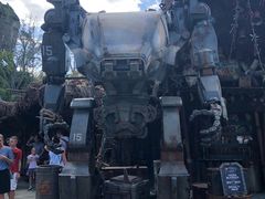 -奥兰多迪士尼动物王国乐园