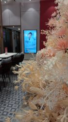 -云南吴氏嘉美医疗美容医院