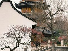 -红梅公园