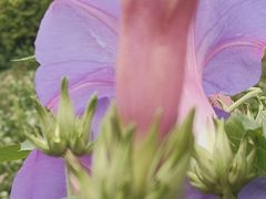 -成都许燎源现代设计艺术博物馆