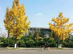 -四川大学(江安校区)