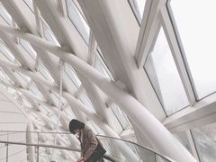 -凤凰中心