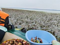 -阳澄湖半岛旅游度假区