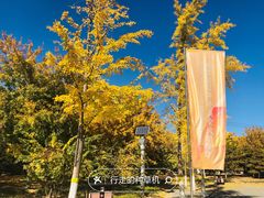 -永定河休闲森林公园