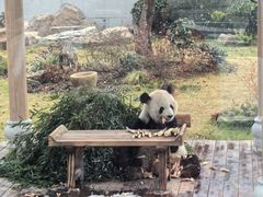 -无锡动物园·太湖欢乐园