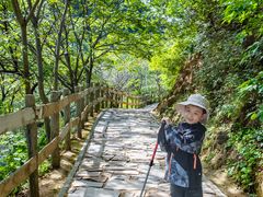 -大岭沟猕猴桃谷风景区