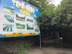 -勇士之星真人CS·团建·拓展(清水河公园店)