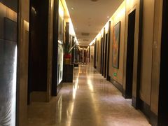 -同庆楼(滨湖万达广场店)