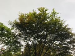 -堤角公园