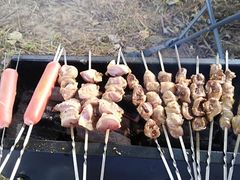 -蒲河岛湿地公园