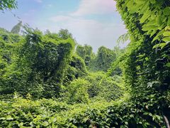 -吴山景区
