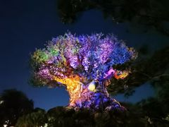 -奥兰多迪士尼动物王国乐园