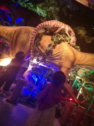 -恐龙探索乐园(磁器口店)