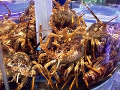 -新海渔港·胶东海鲜家常菜·家宴(奥体中心店)