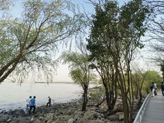 -上海吴淞炮台湾国家湿地公园